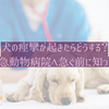 犬の痙攣が起きたらどうする？夜間・救急動物病院へ急ぐ前に知っておきたいこと
