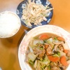 白菜と豚肉の炒め物と、もやしとごぼうのごまマヨサラダ