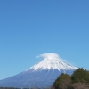 いつもの笑顔が可愛いい義母