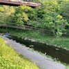 5月13日(火)秩父フライフィールドの河川情報