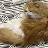 ●ドジャース×ヤンキーズの試合を休み時間にみて、「逆転サヨナラ満塁ホームラン」！！　　お～～～。