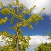アジアが変わる