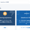 SFDC：Lightning Experienceの設定の管理について