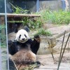 上野動物園