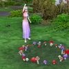 Enchanted by Nature（20）