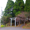 室蘭市　幡守神社に参拝してきた　2023.4.29