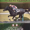 2018年度 【下河辺牧場オーナーズクラブ】ウィナーズ．2018（２歳馬：2016年産駒）