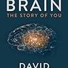 洋書 - The Brain: The Story of You