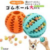 ルウさん、ボールで歯磨きしてみる？
