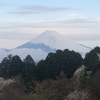 今朝の景色