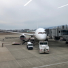 JMBダイヤモンド達成後のお楽しみ編（JAL17日目）