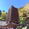 紅葉の奈良旅
