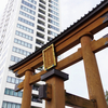 街の発展を見守ってきた宇都宮二荒山神社へ