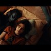 今日の動画。 - Birdy - Heartbreaker (Official Music Video)