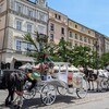 【中欧バルト13】クラクフ旧市街を愛でる