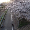 三筑二丁目の夕日、そして夕焼け（跨線橋）