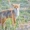 GWに北海道へいった話