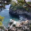 【愛知発青春18きっぷ旅】桜〜温泉〜絶景を楽しむ静岡旅　1泊2日　1日目