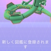 2024/8/4 メガレックウザレイドイベント、お疲れ様でした
