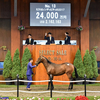 【2018年度サラブレッド1歳市場(Yearling)市場取引成績】-キングカメハメハ編