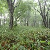 島根調査　1日目