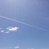 日曜日 花の写真…和みます