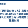 【夏野菜の育て方】真夏の水やりは14時NG？実家の畑で学んだ失敗しない時間帯と猛暑対策