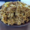 【意外！】毎日キング牛丼154日目