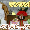 ワンワン鏡餅&ピーグル犬ピーグ登場！