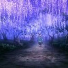 デカワンコ達は..チュールが命