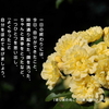 ことばの道しるべ（266）十分に立派
