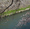 京都　春の終わり　前編