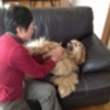 １月１６日（土）　メガネ市場で調整したメガネを受け取る　ヘルパーさんが調理して冷凍してあった肉じゃがを３人でいただく