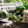 ほうれん草の土づくり、じゃがいも第二弾
