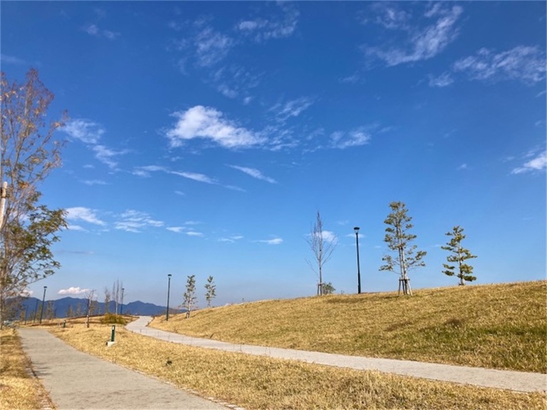 【魚が泳ぐ透き通る海】別府の隠れた絶景スポット「的ヶ浜公園」