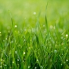 OECD Crop production data analysis 6 - correlation matrix and scatter plots matrix using R