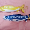 VICTORYしゃけまるゲット