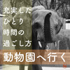 ひとり時間の楽しみ方【一人で動物園へ行った時の話】