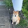 パスワードを変えたことを忘れていた。