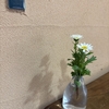 日常を愛している
