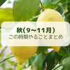 レモン栽培 必要な肥料と与え方 時期について 柑橘類の育て方 ドリリウム