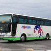 北部観光バス / 沖縄22き ・661