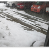 雪囲いができないうちに雪が降ってしまったが