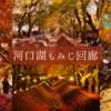 異世界級の紅葉トンネルが幻想的で美しい！河口湖もみじ回廊の見頃・アクセス必勝ガイド