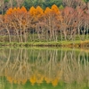 木戸池（長野県志賀高原）