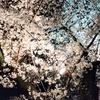 50歳すぎからの推しごと見つけました～　櫻坂46さん、応援してます🌸