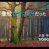 不登校ひきこもりだった私（２）こうして不登校が始まった