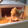 アピール ～12/30 842日目～