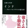 あわ9条の会の行動、花盛り、「インド」（近藤正規　中公新書）