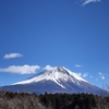 これも静岡のおでん